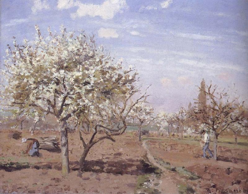 Camille Pissarro Flowering frukttradgard Louveciennes